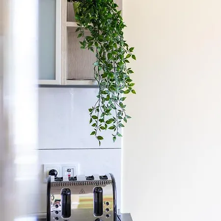 Victus Apartamenty, Valentine